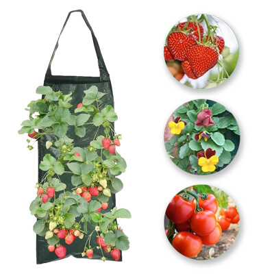 Garden King Vrece na pestovanie závesný Veggie 8 dier